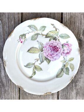 Venetian Rose Gold Dinner Plate By Warwick Scalloped Gold Daubs 10” Disc (Bin4)